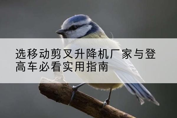 宜都电动升降机厂家-选移动剪叉升降机厂家与登高车必看实用指南