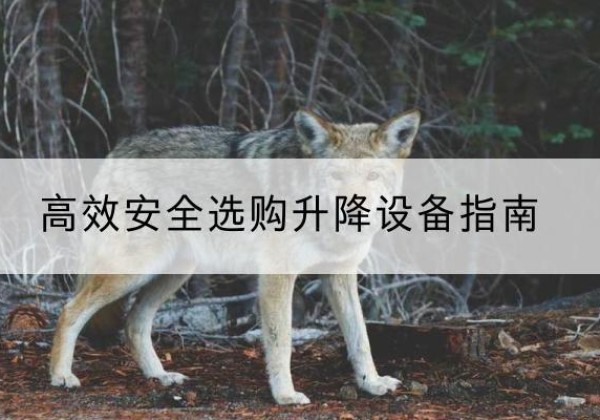 宜都升降货梯厂家推荐-*安全选购升降设备指南