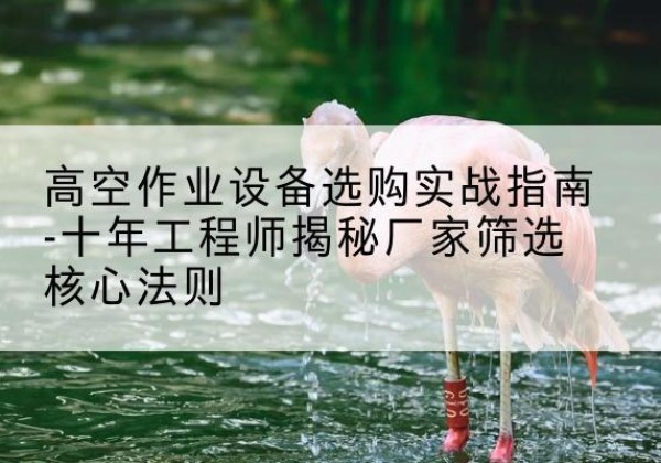 宜都剪叉式升降机厂家-高空作业设备选购实战指南-十年工程师揭秘厂家筛选核心法则